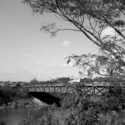 佐鳴湖のふれあい橋